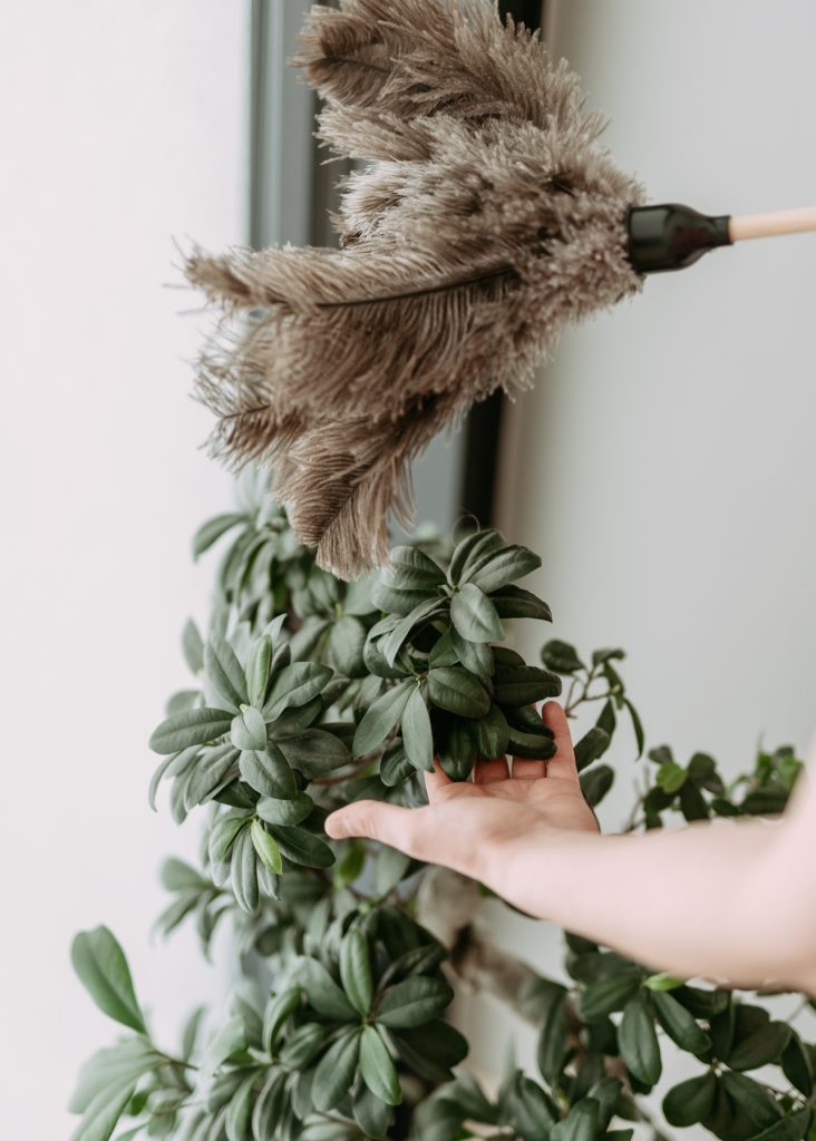 siivouspalvelujen markkinointi